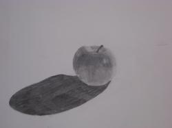dessin au crayon d une pomme d après nature